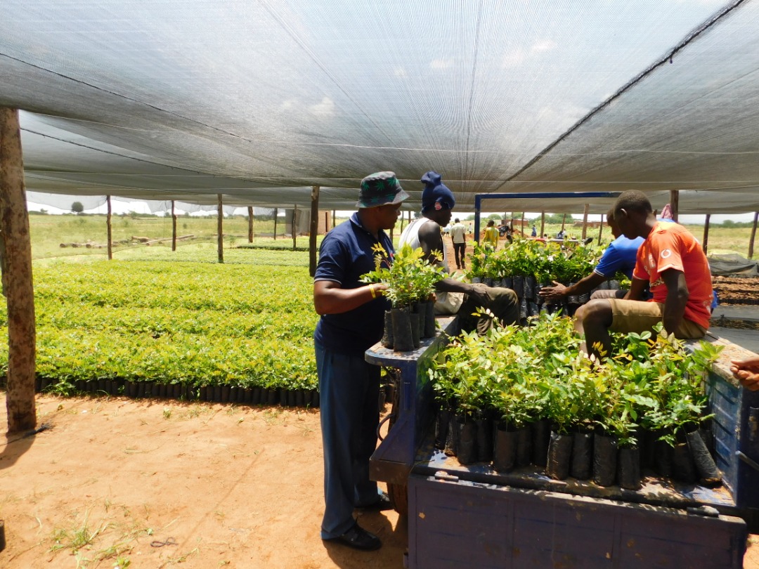 Sustainable agriculture