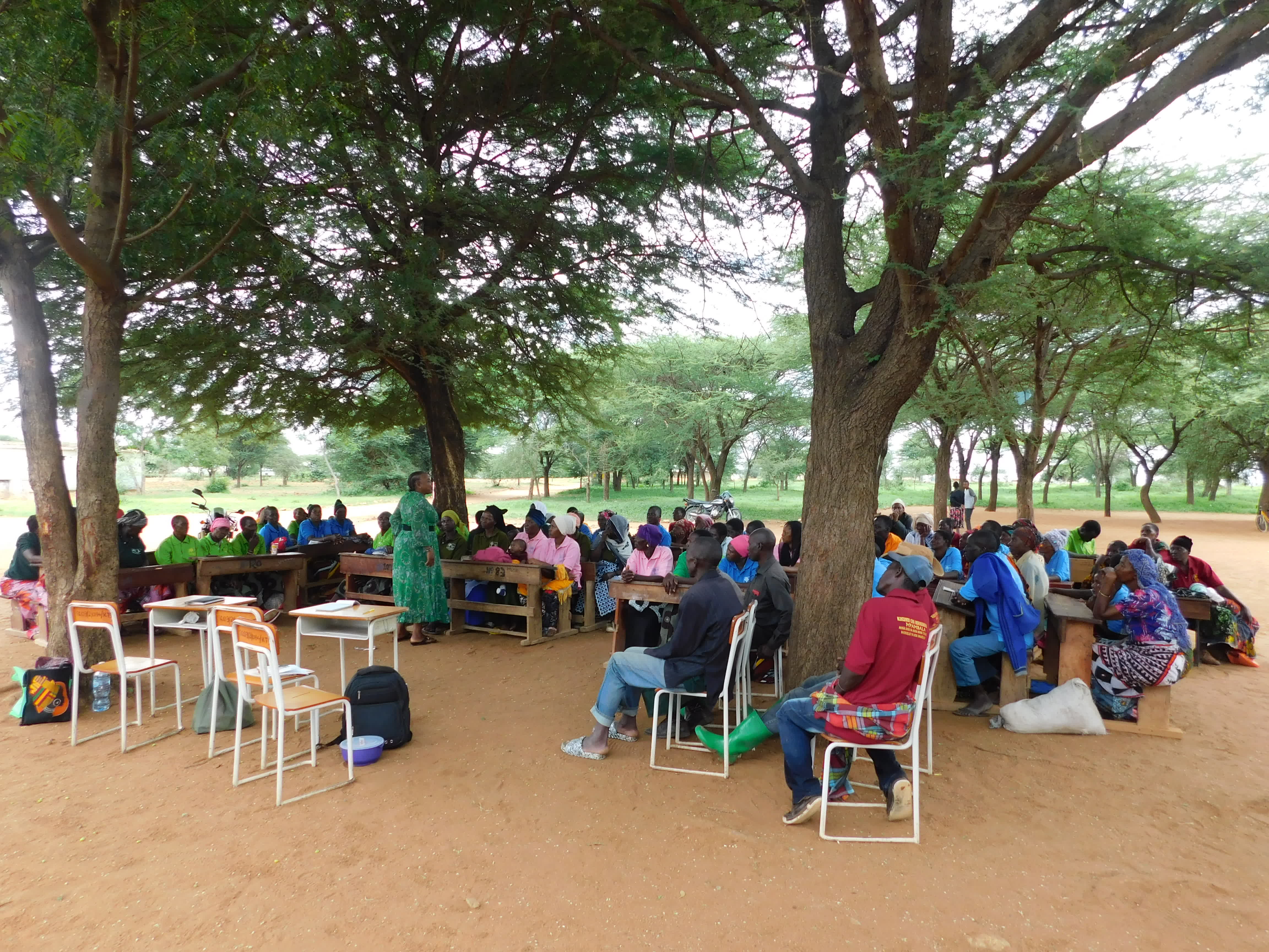 Education Programs